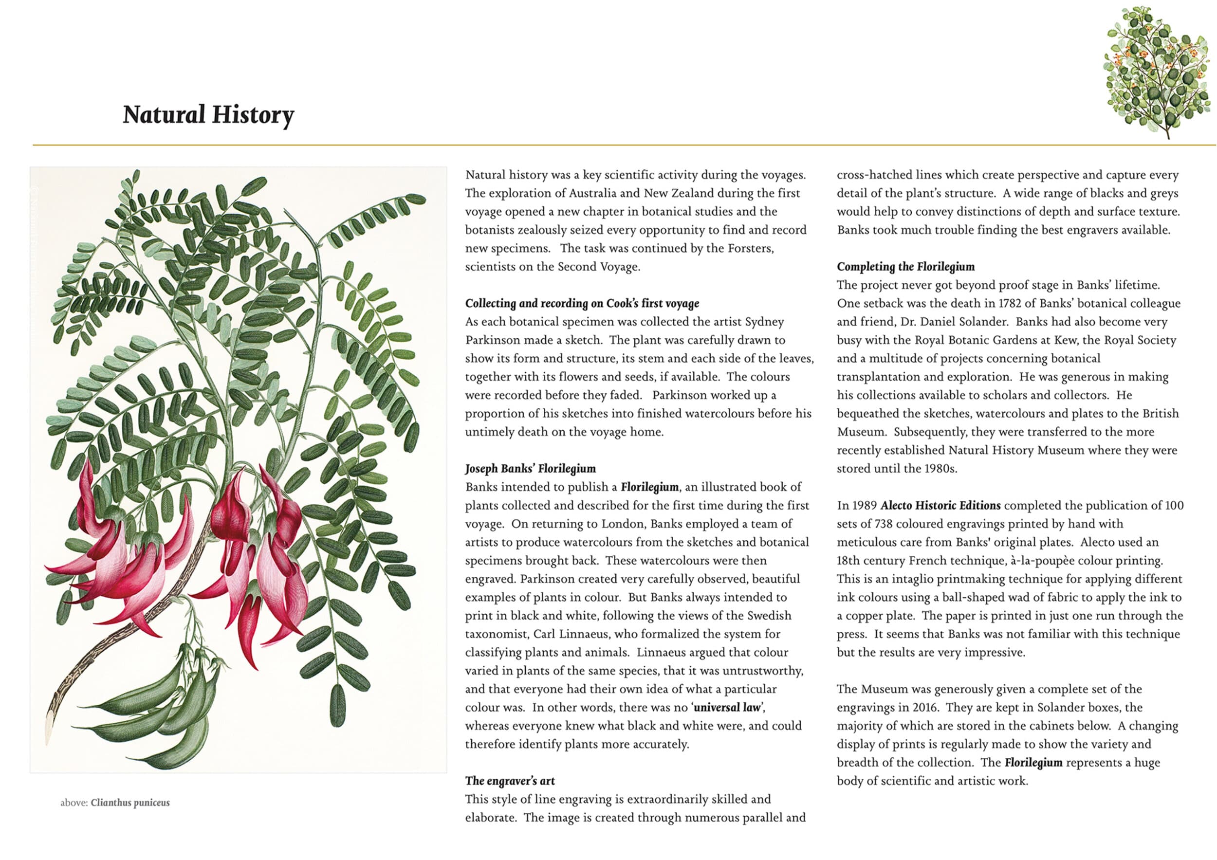 Natural History section, Cook Museum catalogue